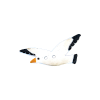 Bouton mouette blanche