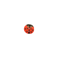 Bouton petite coccinelle