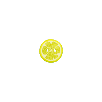 Bouton rond tranche de citron