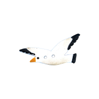 Bouton mouette blanche