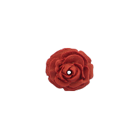 Bouton rose bordeaux