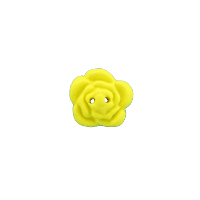 Bouton fleur jaune
