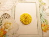 Bouton rose de 20mm jaune