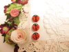 Bouton mini coccinelle