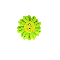 Bouton fleur marguerite verte