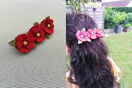 Barrette pour les cheveux