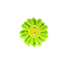 Bouton fleur marguerite verte