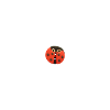 Bouton petite coccinelle