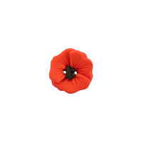 Bouton coquelicot rouge