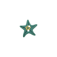 Bouton étoile de mer bleu