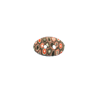 Bouton ovale vigo