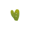 Bouton cactus vert branche gauche
