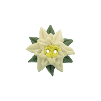 Bouton edelweiss vert et blanc