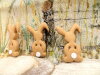 Bouton petit lapin marron assis