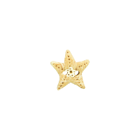 Bouton étoile de mer beige