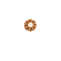 Bouton petite marguerite marron et coeur blanc