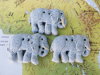 Bouton éléphant Afrique