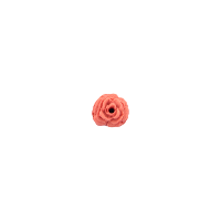 Bouton rose de 10mm vieux rose