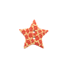 Bouton étoile Kalanchoé