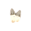 Bouton champignon morille