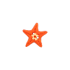 Bouton étoile de mer rouge