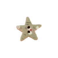 Bouton étoile grise