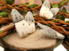 Bouton champignon morille
