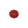 Bouton rose bordeaux