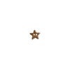 Bouton mini étoile irisé dorée