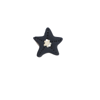 Bouton étoile de mer marine