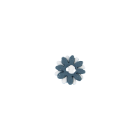 Bouton petite marguerite blanche et grise coeur blanc