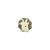 Bouton tête chèvre blanche