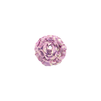 Bouton rose de 20mm marbré violet