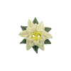 Bouton edelweiss vert et blanc