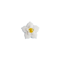 Bouton fleur de lin blanche