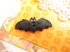 Bouton Chauve-souris noire