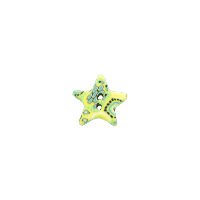 Bouton étoile Millefiori