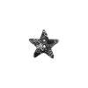 Bouton étoile dentelle noire