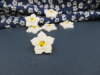 Bouton fleur de lin blanche