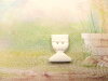 Bouton petit pot de fleur blanc vase