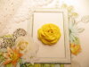 Bouton rose de 27mm jaune