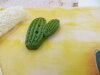 Bouton cactus vert branche droite