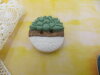 Bouton cactus vert pot blanc