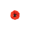 Bouton coquelicot rouge