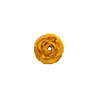 Bouton rose de 20mm doré