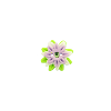 Bouton edelweiss vert violet