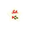 Bouton étoile blanche Noël