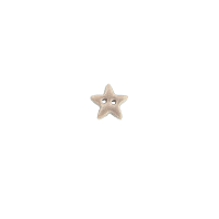 Bouton mini étoile grise